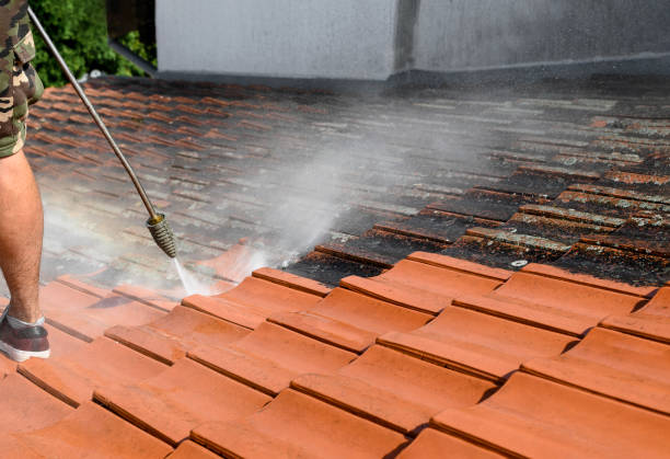Best Deck Cleaning Services  in Tenaha, TX