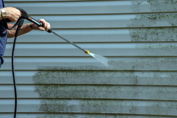Best Exterior Home Cleaning  in Tenaha, TX